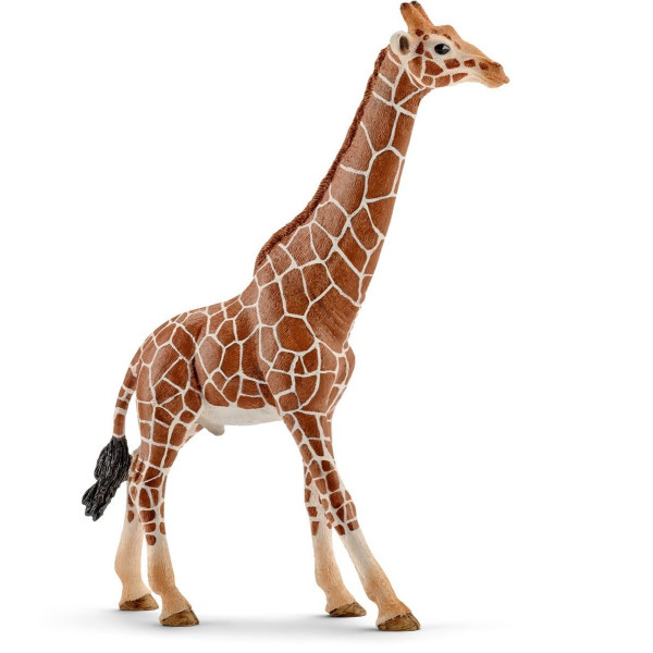 

Игрушка-фигурка Schleich Жираф самец (14749)