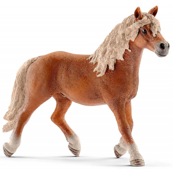 

Игрушка-фигурка Schleich Жеребец породы Гафлингер (13813)
