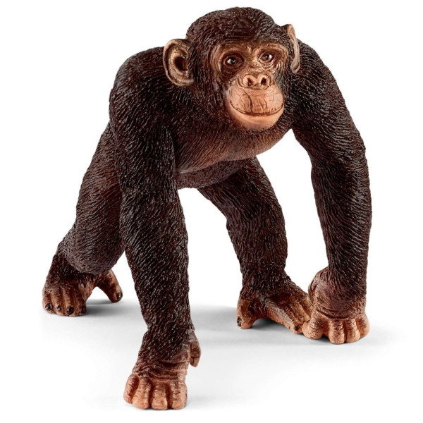 

Игрушка-фигурка Schleich Самец Шимпанзе (14817)