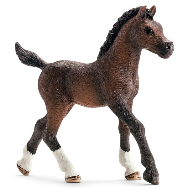 

Игрушка-фигурка Schleich Арабский жеребенок (13762)