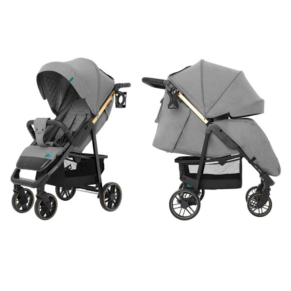 

Коляска прогулочная CARRELLO Echo CRL-8508/2 Rhino Gray +дождевик