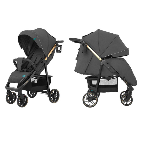 

Коляска прогулочная CARRELLO Echo CRL-8508/2 Midnight Gray +дождевик