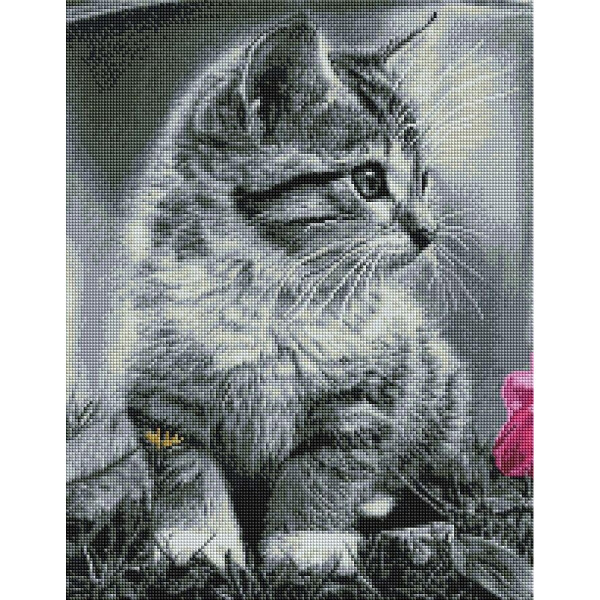 

Алмазная мозаика - Котенок 40*50 см