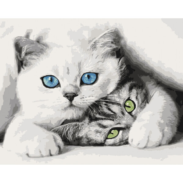 

Картины по номерам - Котята 40x50 см
