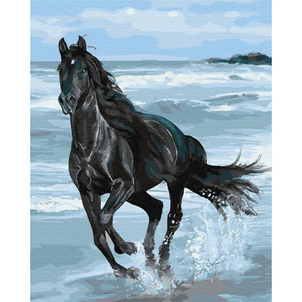 

Картина по номерам - Чёрная лошадь 40x50 см