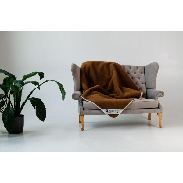 

Одеяло из шерсти верблюда Woolmark HILZER Camel Шерсть/Шерсть 220х200 см Антиаллергенное Всесезонное (FB1117599061HZ) + Антимолевый чехол