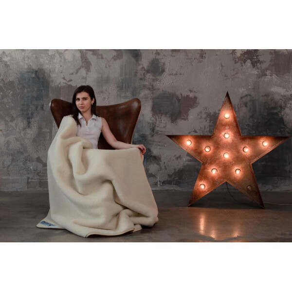 Одеяло из шерсти мериноса Woolmark HILZER Merino Шерсть/Шерсть 140х100 см Антиаллергенное Всесезонное (FB1117602001HZ) + Антимолевый чехол