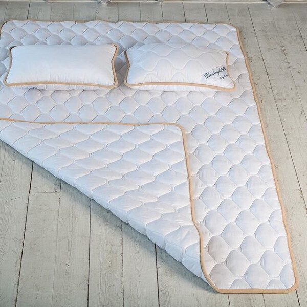 

Одеяло из овечьей шерсти мериносов GoodnightStore Белый 200х220 + подушка 50х70 2 шт Антиаллергенное Всесезонное (FB160012315070KGN) + Антимолевый чехол