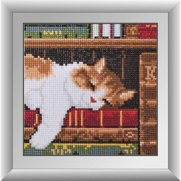 

Котенок на книжной полке. Dream Art. Набор алмазной живописи 17*17 см