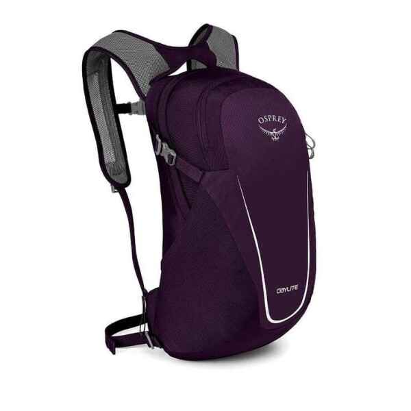 

Рюкзак Osprey Daylite 13 Amulet Purple