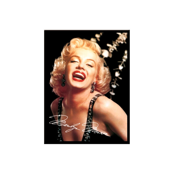 

Магнит 8x6 см "Marilyn Monroe - Cheer" Nostalgic Art (14072)