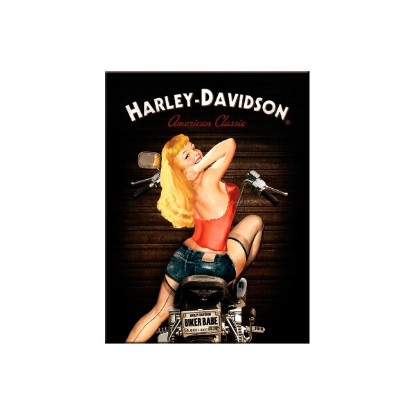 

Магнит 8x6 см "Harley-Davidson Biker Babe" Nostalgic Art (14333)