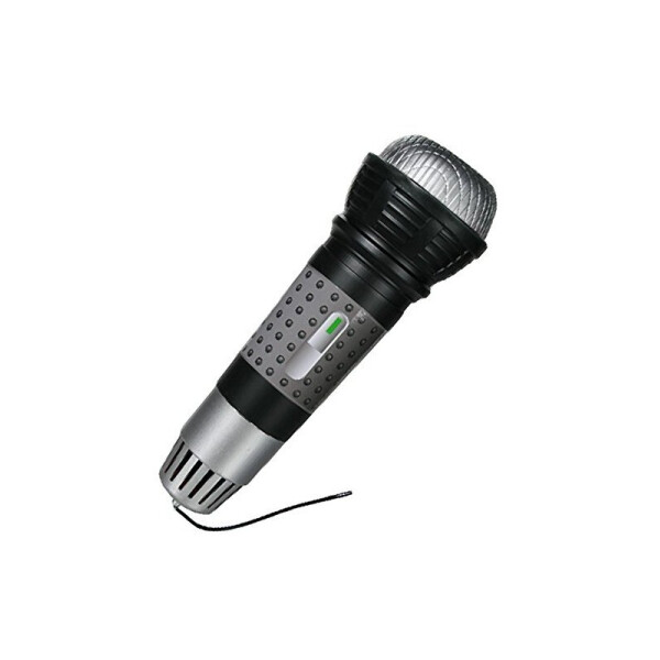 

Микрофон "Magic Echo"