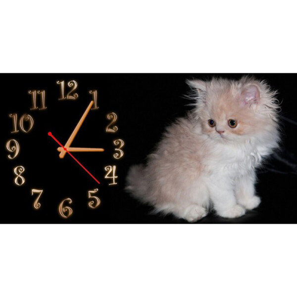 

Детские настенные часы Aim Котенок N16, 30х60 см