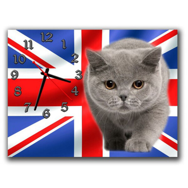 

Детские настенные часы Aim British cat, 30х40 см
