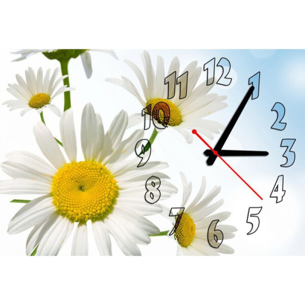 

Настенные часы Aim Ромашечка, 30х45 см