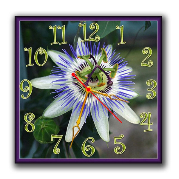 

Квадратные настенные часы Aim Экзотика, 30х30 см