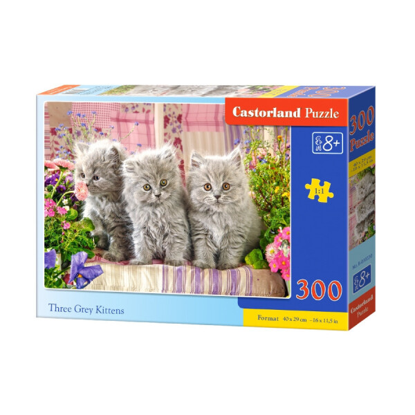 

Кастор пазлы 300 Три серых котенка 40*29 /20/