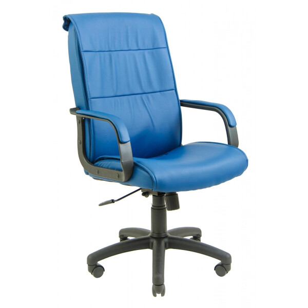 Офисное Кресло Руководителя Richman Рио Флай 2227 Пластик Рич М3 MultiBlock Синее