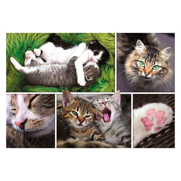 

Пазли - (1500 елм.) - Прості котячі справи / Колаж/Trefl