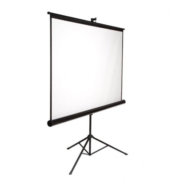 

Экран мобильный напольный AV Screen 100" 195x14 4:3 Matte White 3V100MTV