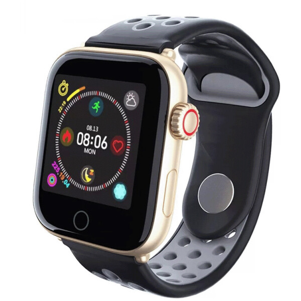 

SENOIX Z7 Fit Gold-gray (SM54Z7GDOR19)