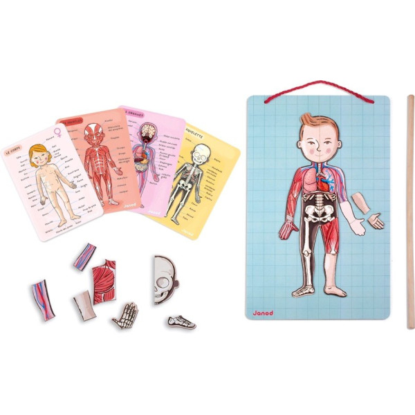 

Игровой магнитный набор Janod Тело человека (J05491)
