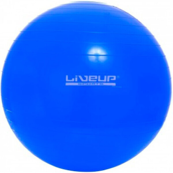 

Фитбол LiveUp Gym Ball 65 см Blue (LS3221-65b)