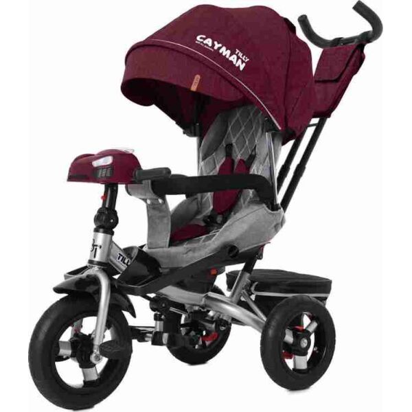 

Велосипед детский Tilly Cayman T-381/6 Трехколесный С пультом Усиленная рама Красный (allT-381/6)