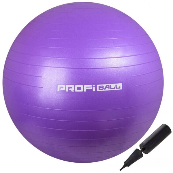 

Мяч для фитнеса (фитбол) Profi 65 см M-0276-1 Violet