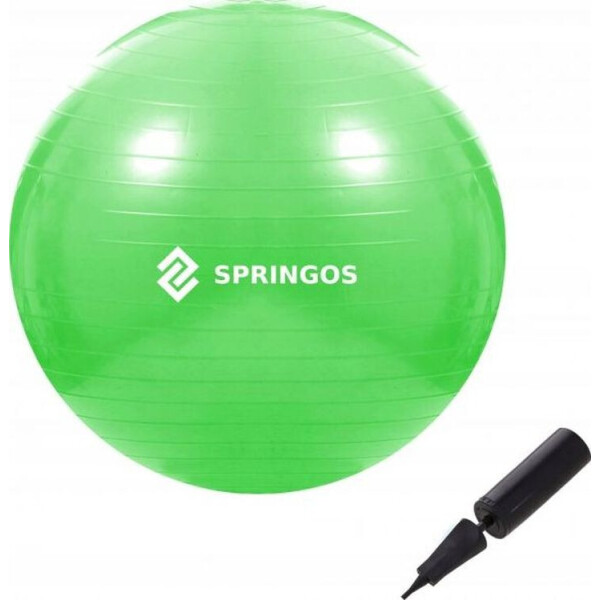 

Фитбол Springos 65 см Anti-Burst FB0007 Green