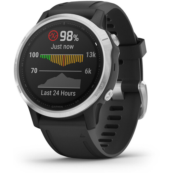 

Garmin Fenix 6S Silver (010-02159-01)