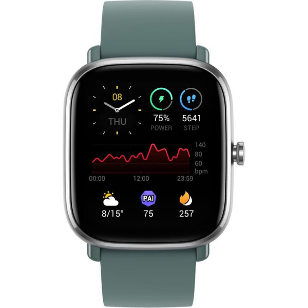 

Смарт-часы Amazfit GTS 2 mini Sage Green