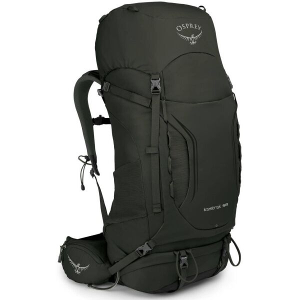 

Рюкзак Osprey Kestrel 58 Picholine Green - S/M (009.1854)