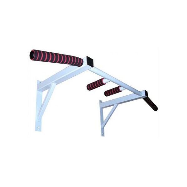 

Турник настенный Newt 2 в 1 (NE-TR-21)