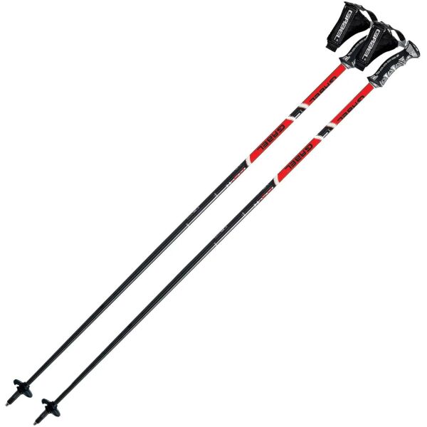 

Палки лыжные Gabel HS-R Black/Red 115 (DAS301264)