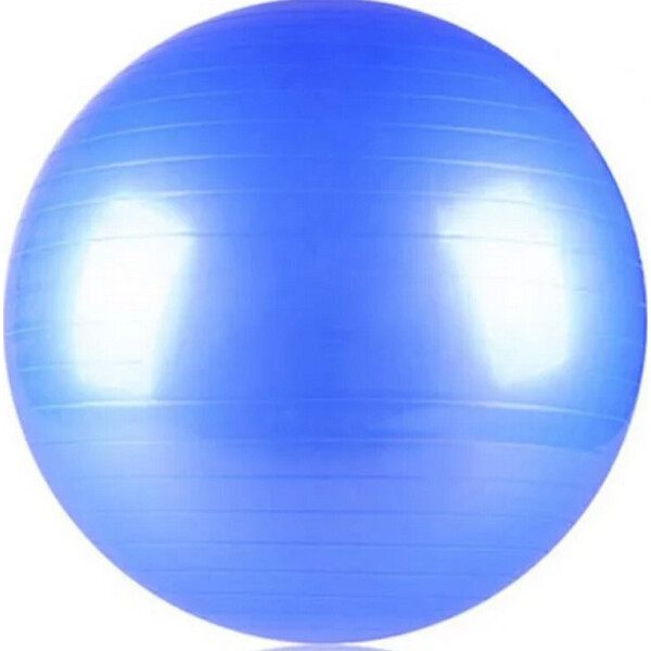 

Мяч для фитнеса Wellamart, Голубой (Арт. 5705)