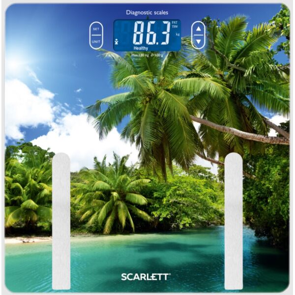 

Scarlett SC-BS33ED12