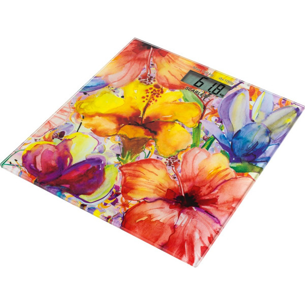 

Scarlett SC-BS33E071