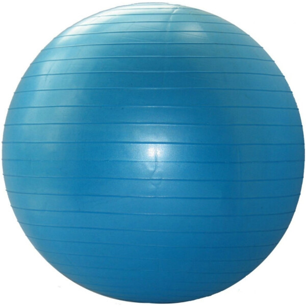 

Фитбол Bavar Sport 65 см Синий (00023274)
