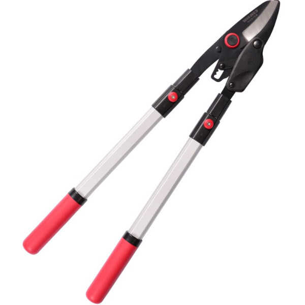 

Сучкорез телескопический Vitals Master LS-910-02RT (123172)