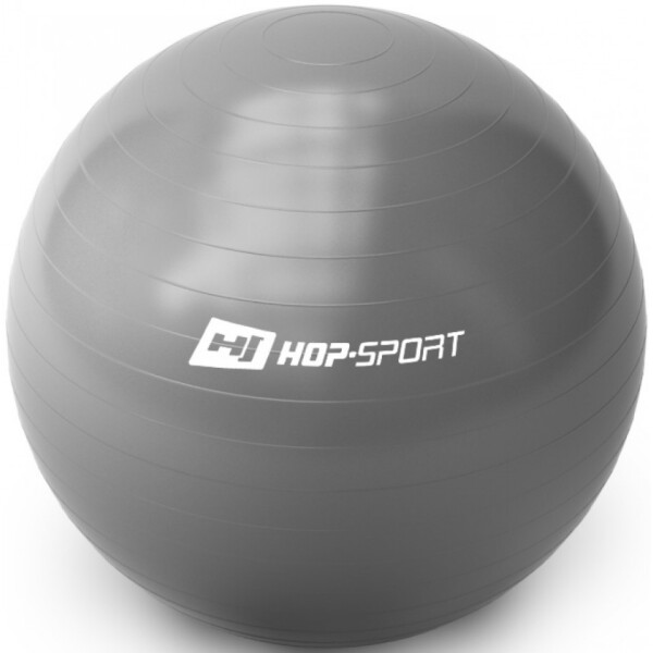 

Фитбол Hop-Sport 65 см Silver + насос (00019018)