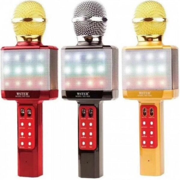 

Микрофон DM Karaoke WS 1828 с подсветкой