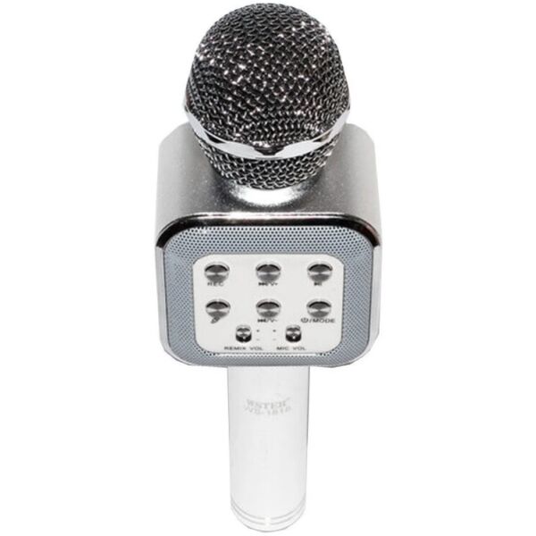 

Микрофон DM Karaoke WS 1818