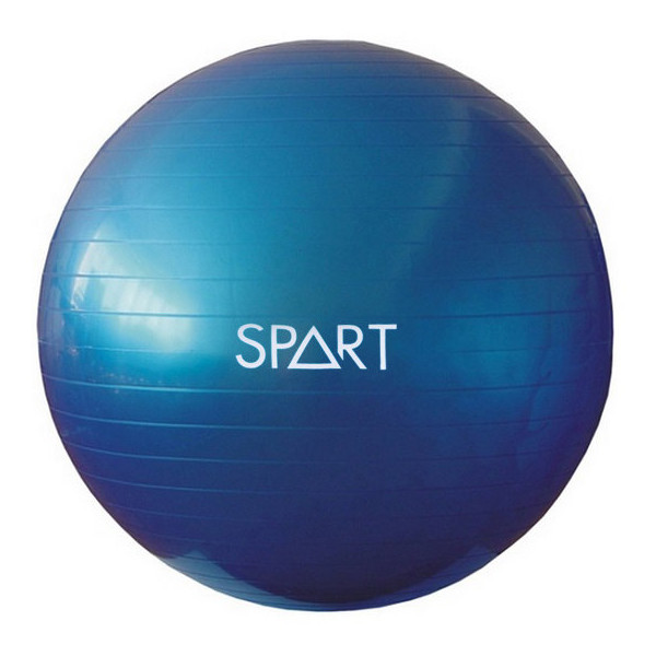 

Фитбол Spart (с насосом) SPRT-01 65 см синий