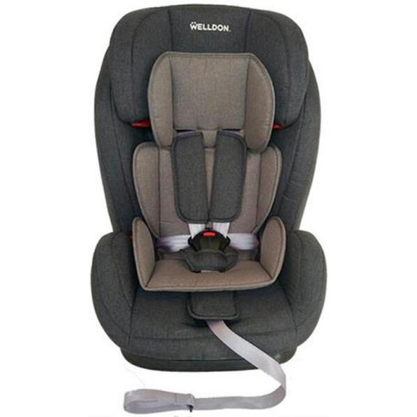 

Детское автокресло Welldon Encore (графитовый/серый) BS07-S95-001