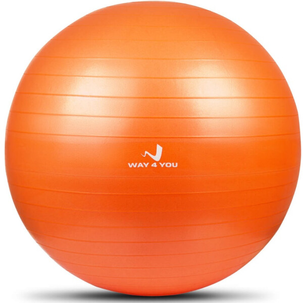 

Мяч для Фитнеса (Фитбол) 55см Way4you Оранжевый (w40120)