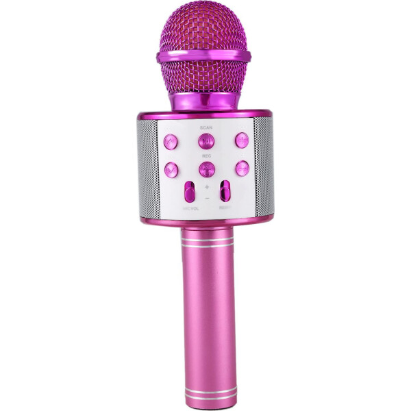 

Микрофон WSTER WS858 Original Pink