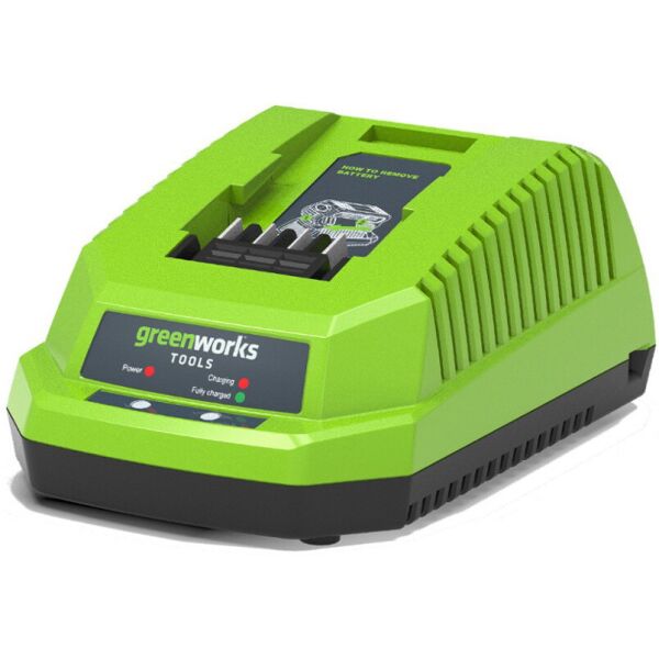 

Зарядное устройство Greenworks G40C