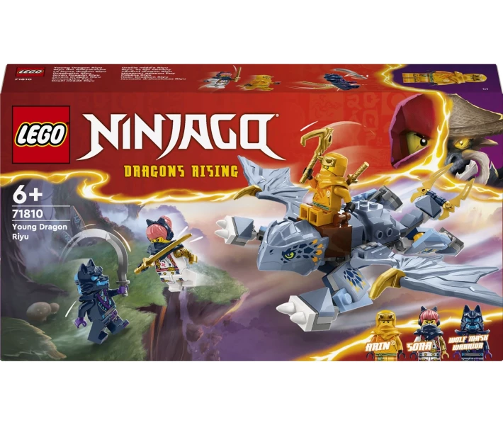Конструктор LEGO® Ninjago Молодой дракон Рию (71810) купить в
